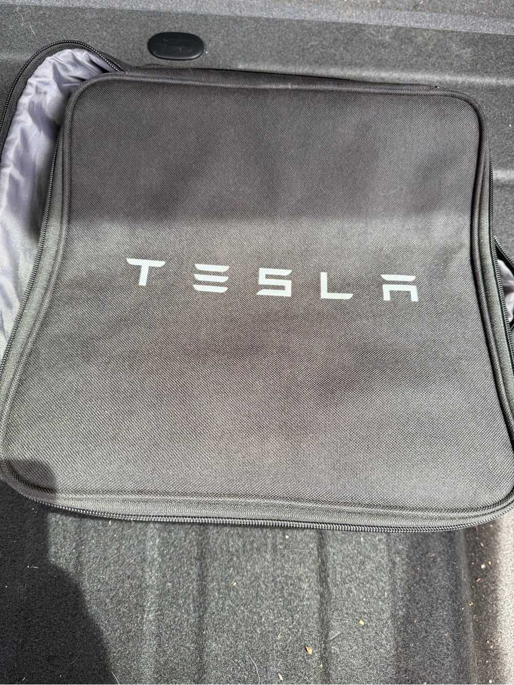 Tesla Black Carry Pouch with White Logo